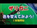 [ベスト] ザリガニ 色付け 110679-ザリガニ 色付け 餌