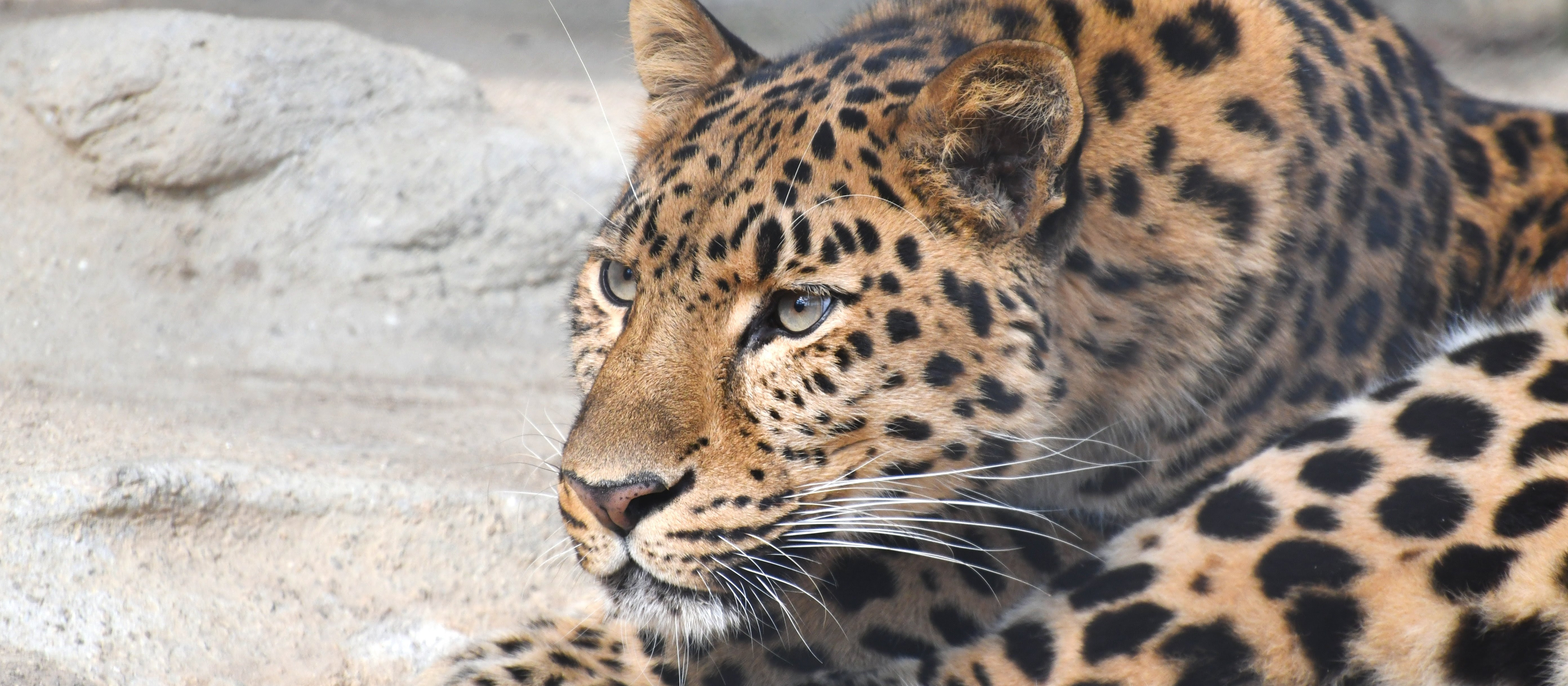 安佐動物公園 Asazoo