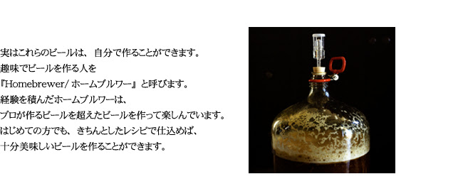 初回お試しセット アドバンストブルーイング 手作りビールキット