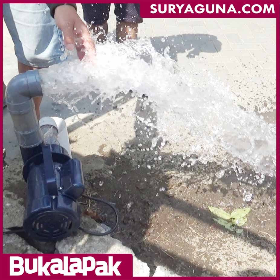 Pompa Air Listrik JET 250 Pompa Kolam Ikan | SuryaGuna.com ...