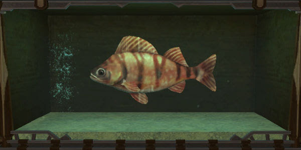 アクアリウム 水槽 について 夢でもff14