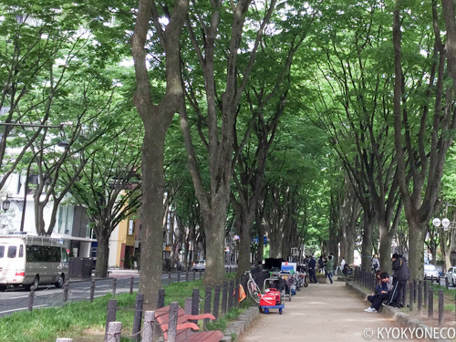 映画 俺物語 の撮影