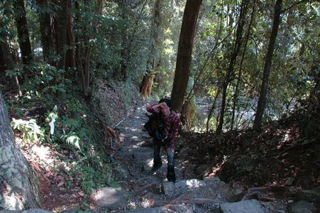 那智の滝 公称落差133m幅13m 直瀑 和歌山県東牟婁郡那智勝浦町那智山 02年9月頃 09年9月18日 13年4月25日 日本の滝100選掲載順カウントアップ37 100 Godsamhill Organization