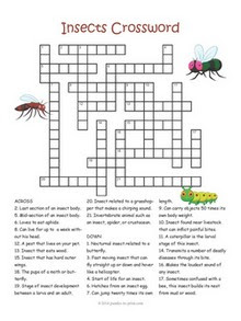 Insect Puzzle Bundle - 3 Printable Puzzles