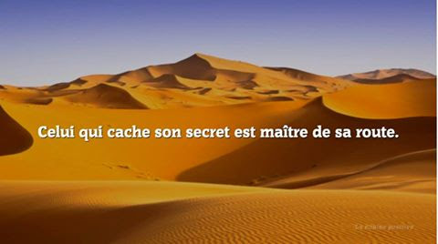 Citation Proverbe Et Citation Par Theme A Lire De Belles Citations D Amour Et Proverbes Francais