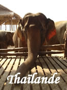 Sommaire Thaïlande