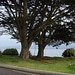 DSC03192