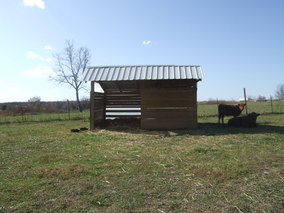 Building a Small Cattle Shed
