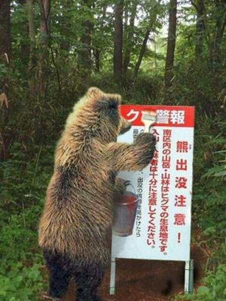 私 クマって名前じゃないし クミだし 動物群へのボケ ボケて Bokete