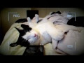 Nikon D3200 Lens kit test + effects