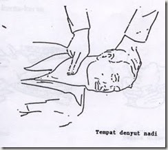 clip_image027
