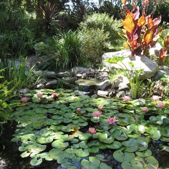 San Diego Botanic Garden California Suites Hotel