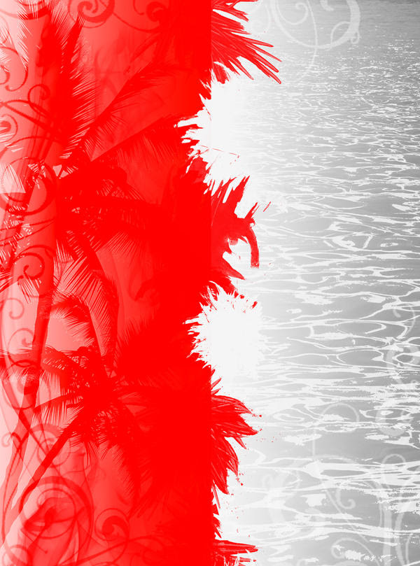 Red White and Black Backgrounds