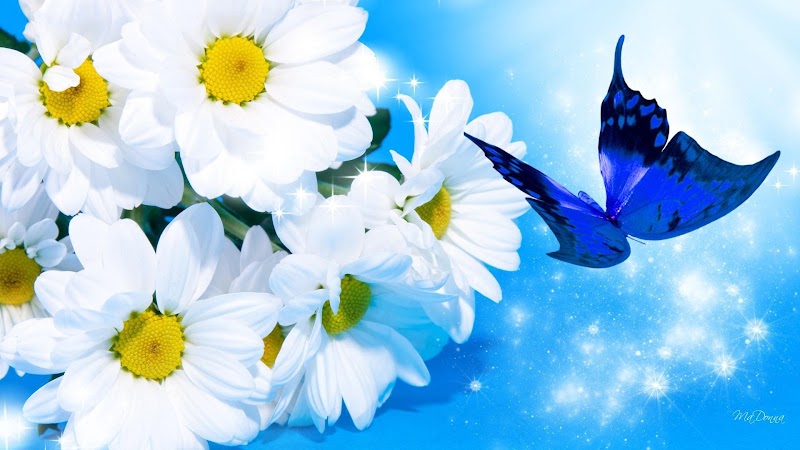 15+ Koleksi Baru Background Bunga Biru Hd