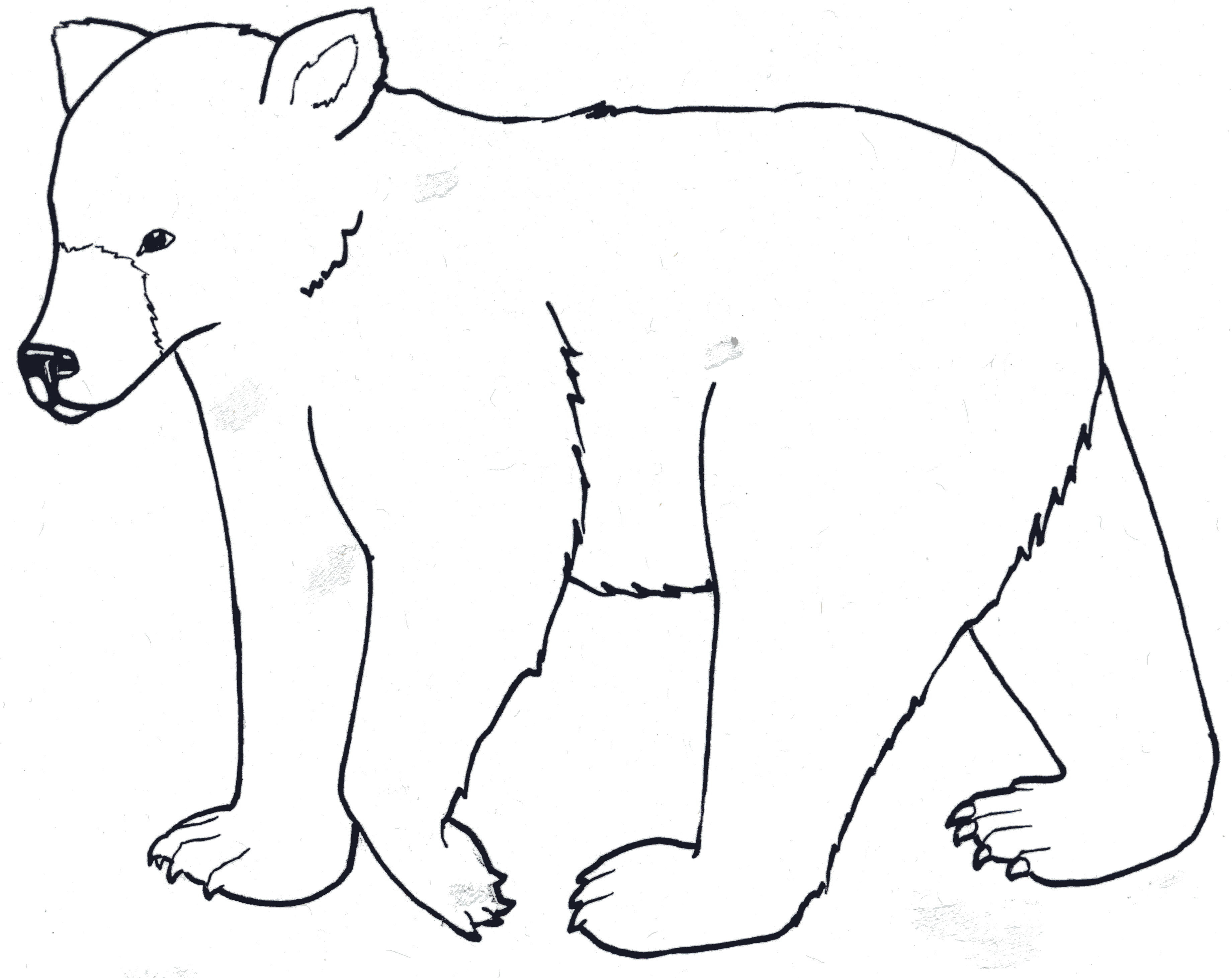 403 Forbidden