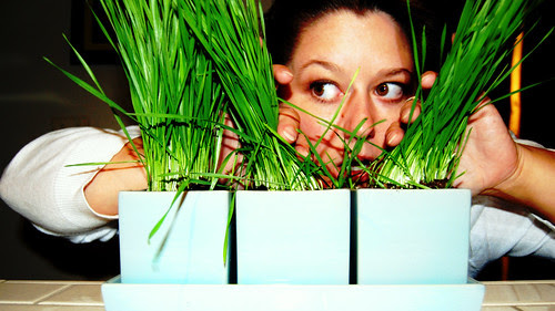 Day 201 (201/366): On the Urban Safari