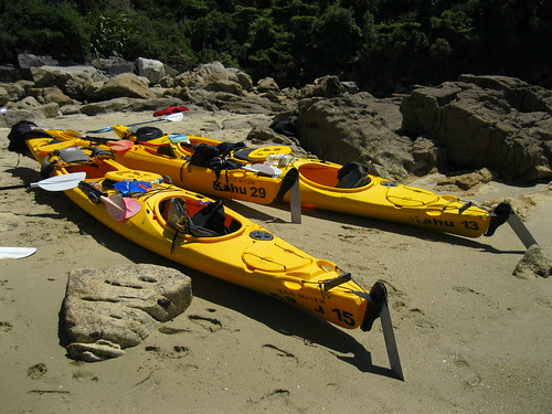img_1265.jpg