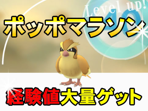 ポケモンgo ポッポマラソンのやり方と獲得できる経験値 何匹進化できる