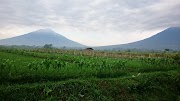40+ Foto Pemandangan Wonosobo