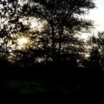 Fotos Parque Kruger Sudáfrica, amanecer