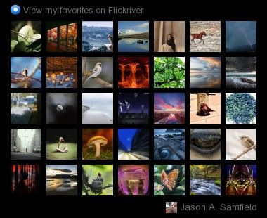 Jason A. Samfield - View my favorites on Flickriver