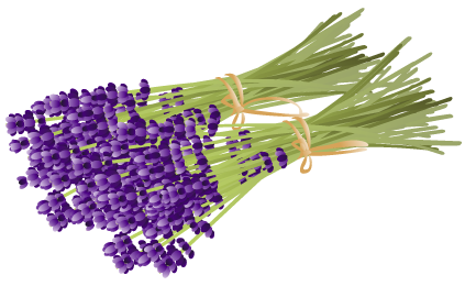ラベンダーの無料イラスト 素材屋花子