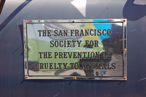 SFSPCA.jpg