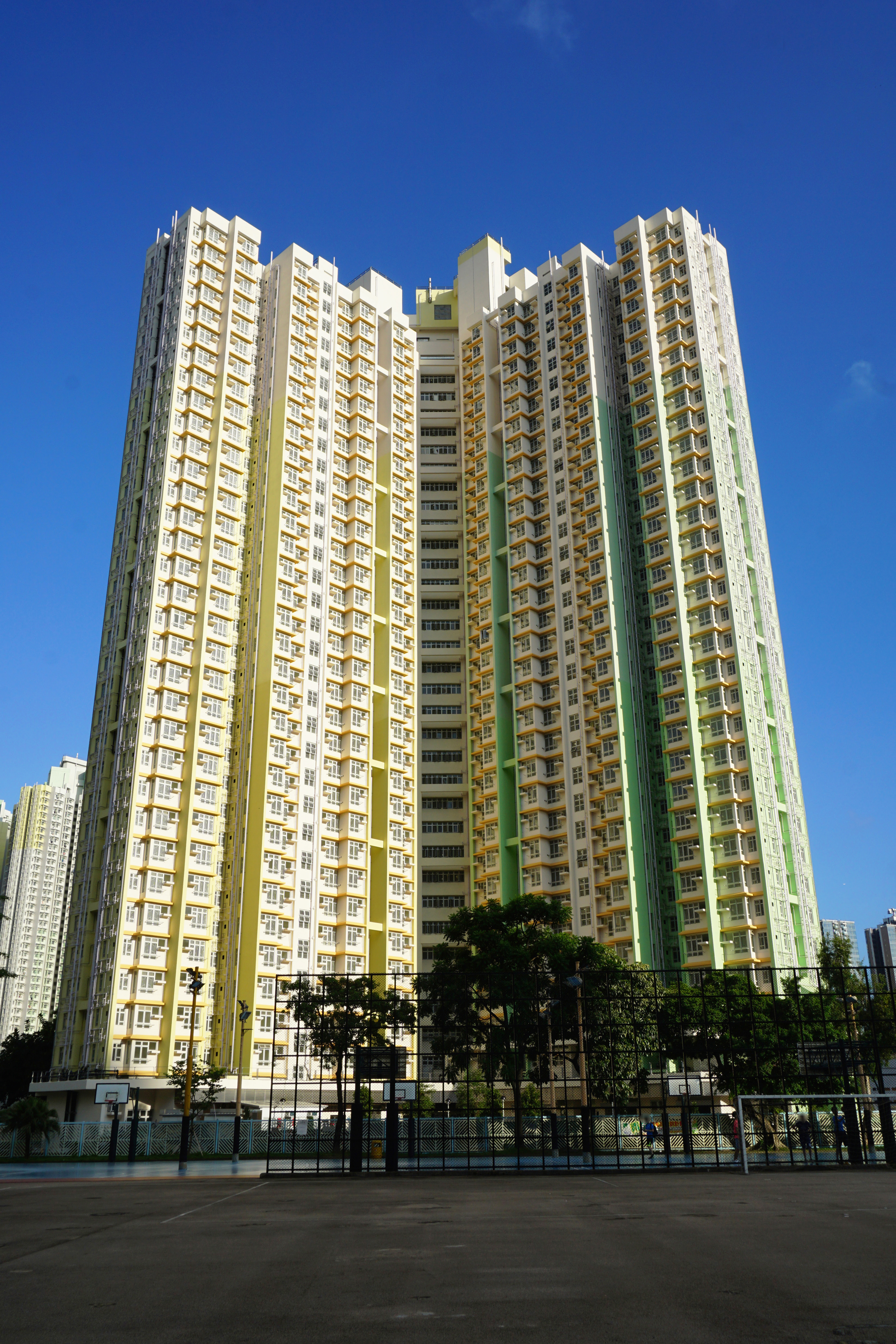 ç»¿è¡¨ç½®å±è®¡å' Wikiwand