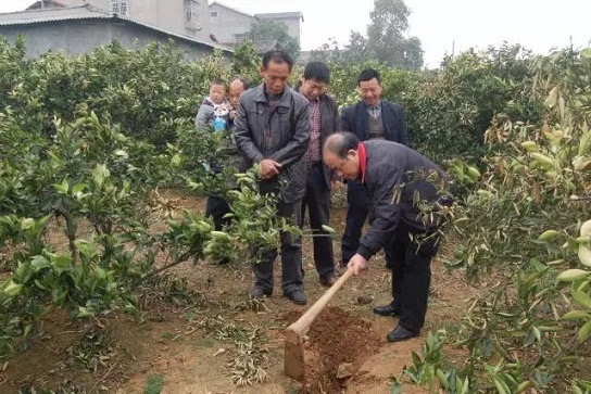 关于树木施肥 河南省莱恩坪安园林植保有限公司