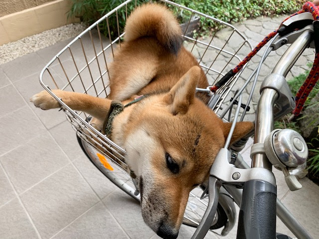 自転車から降りたくないワン 株式会社榊原商店 福山市神辺 ｌｐガス 太陽光発電 下水工事