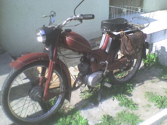 Komarek - zdjęcie na portalu Ostrowca Świętokrzyskiego