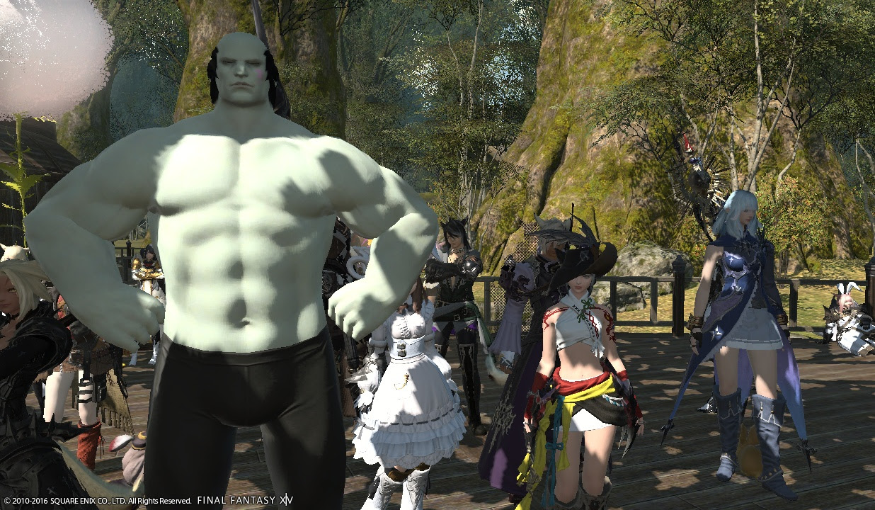 Ff14とはどんなゲーム 辛口評価に隠れてしまう楽しさを語る Ff14の始め方 初心者のためのエオルゼアガイド