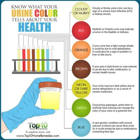 But for a pregnant woman, this change is more prominent and . know what your urine color tells about your health top 10 home remedies