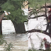 Swept 32 km by Texas floods: Woman survives four dams and floating debris; rescued clinging to tree