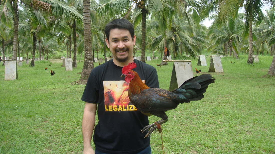 PJL Bittergame Acquired Bicol Hi-Speed's Black Henny - PJL Bittergame