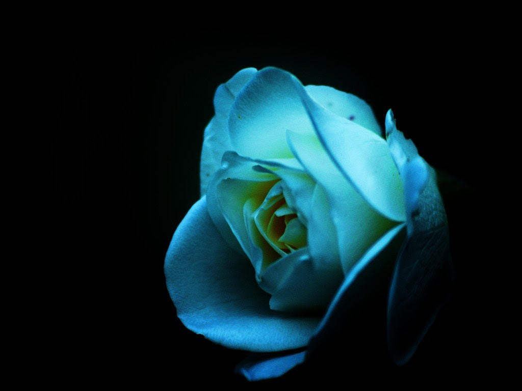 http://24.media.tumblr.com/tumblr_m8tqdsV37B1re1d4do1_1280.jpg
