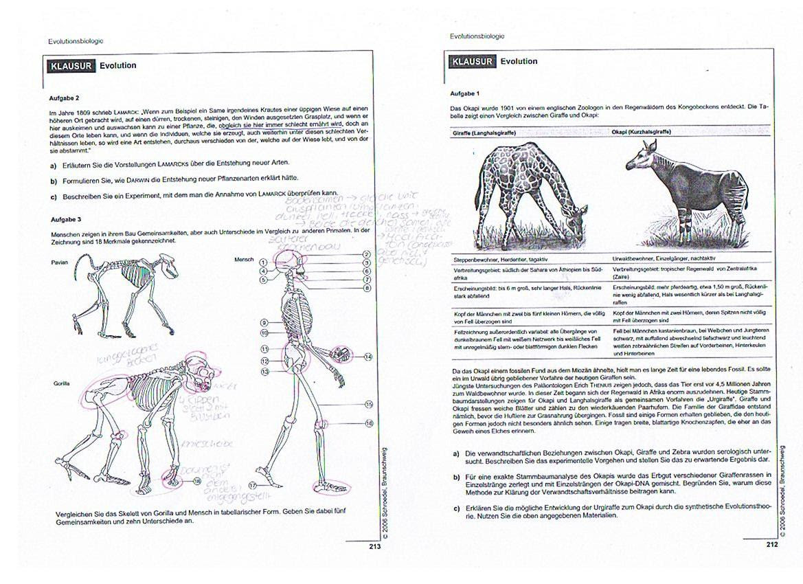 Biologie: Schriftliche Abiturprüfung, Hinweise und Beispiele. 31