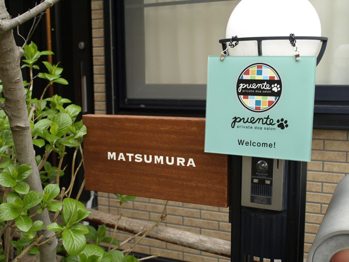 カワイイ おしゃれ シンプル 完全女子モードの看板デザインです