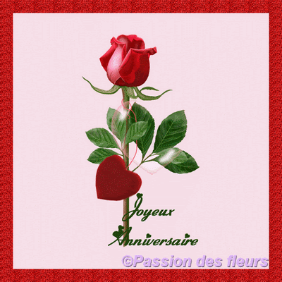 Cartes Animees Gratuites Anniversaire Passion Des Fleurs