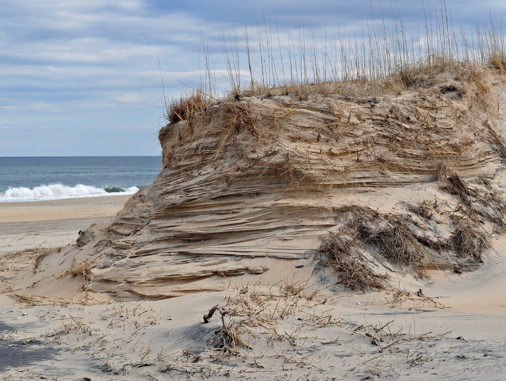 Back Bay Beach Dune