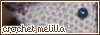 Blogs Amigos