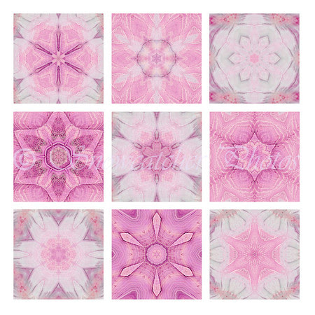 Pink Wave Snowflakes