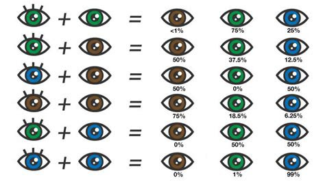 eye color chart what color eyes will my baby have