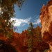 Bryce Canyon