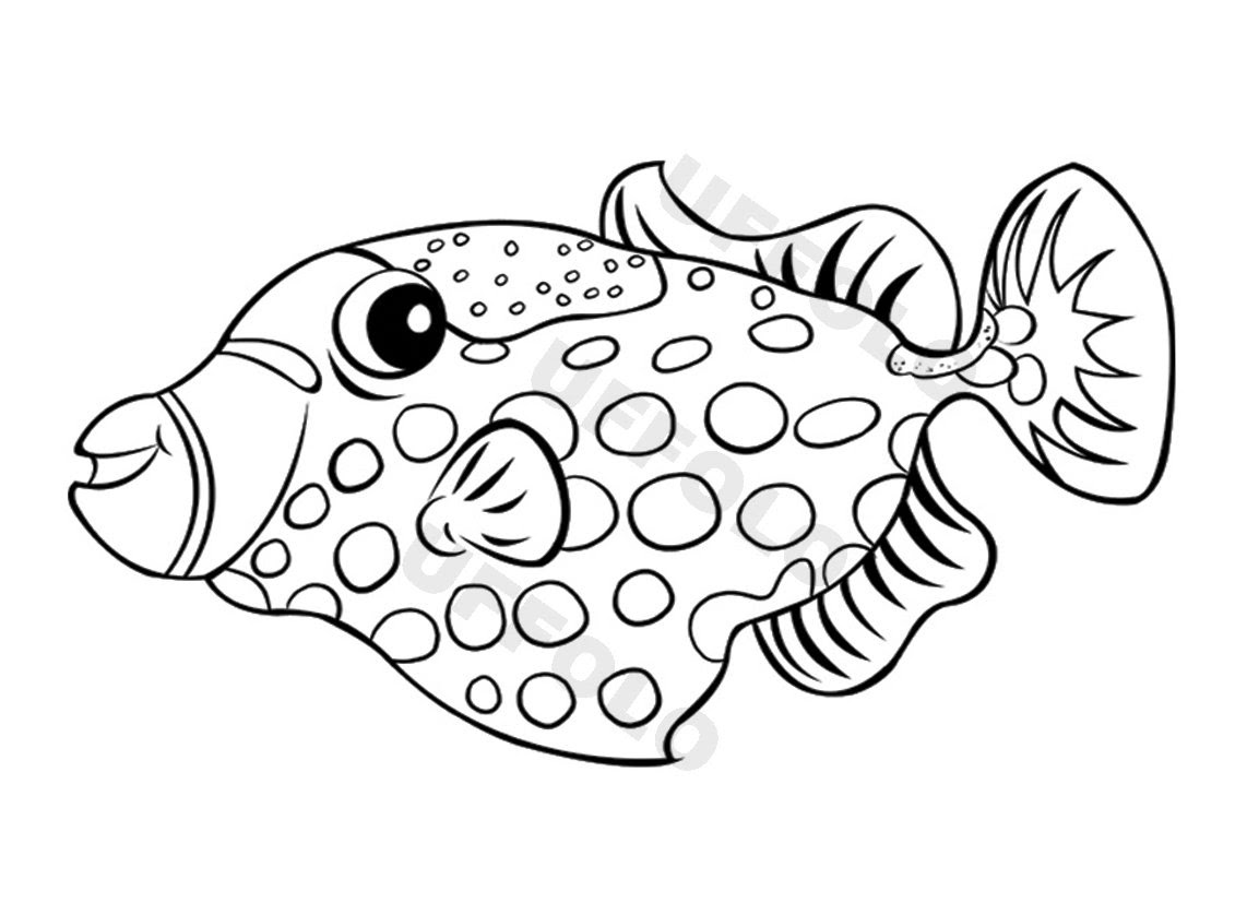 pesce balestra pagliaccio