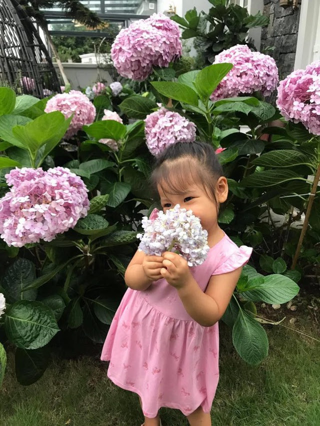 Choáng ngợp với căn bếp yêu vợ hút 42 ngàn like của ông chồng doanh nhân: Hãy cứ để đàn ông làm thứ giỏi nhất - Ảnh 17.