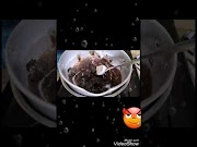 Terbaru Cara membuat es krim coklat, terhot!