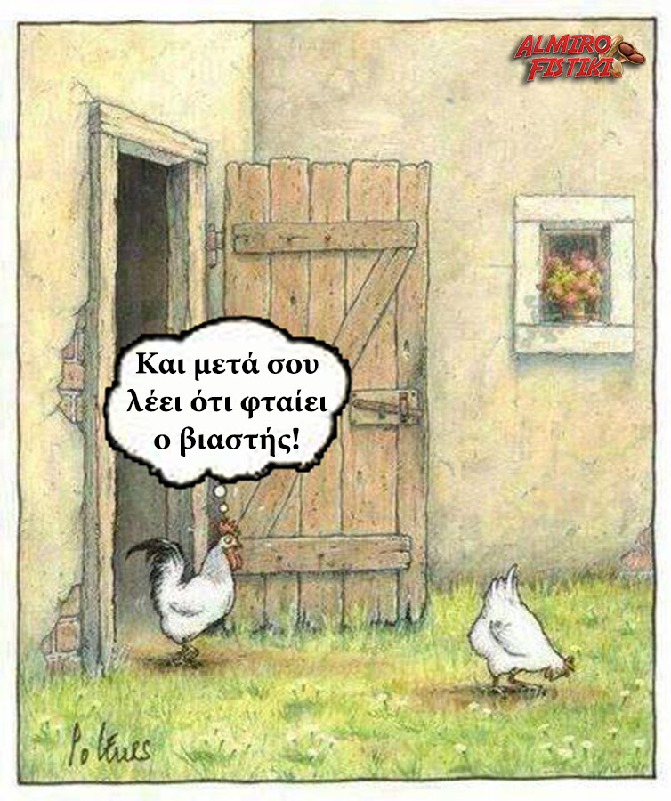 20170417_AlmiroFistiki_Chicken