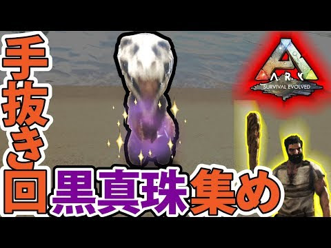 Ark 黒真珠
