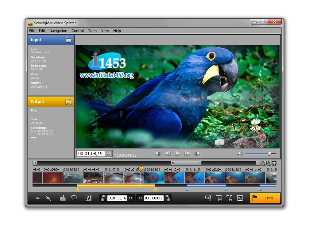SolveigMM Video Splitter 3.6 – Video Kesme ve Birleştirme